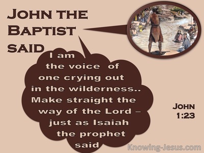 John 1:23 The Voice Of One Crying In The Wilderness (pink)
